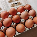 Selling with In-person Payment: Fresh Farm Chicken Eggs