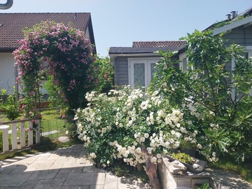 Tauschobjekt: Tausche Haus  (125 qm) gegen 3-4 Zimmer Eigentumswohnung 