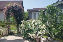 property to swap: Tausche Haus  (125 qm) gegen 3-4 Zimmer Eigentumswohnung 