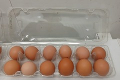 Selling with In-person Payment: Farm fresh eggs