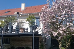 Vente: Vends maison rénovée 224m2 -7 chambres- Maisons-Laffitte