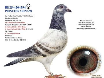 Vente avec paiement en ligne: FEMELLE 2025