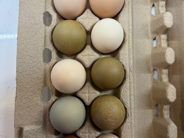 Selling with In-person Payment: Farm fresh Organic No corn/soy