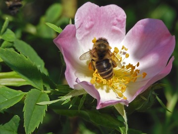 News: Atelier : Vers une société zéro déchets