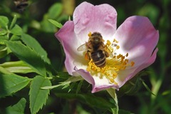 Actualité: Atelier : Vers une société zéro déchets
