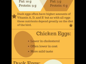 Selling with In-person Payment: Delicious Duck Eggs
