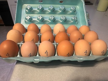 Selling with In-person Payment: Farm Fresh Eggs