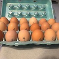 Selling with In-person Payment: Farm Fresh Eggs