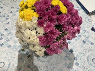 Vente: Chrysanthème duo rose et jaune