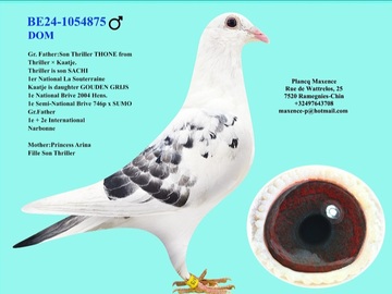 Vente avec paiement en ligne: MALE REPRODUCTEUR