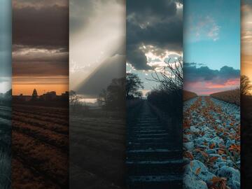 Selling: Next Six Months Tarot Reading