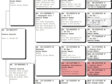 Vente avec paiement en ligne: Mâle direct Ronnie Leusink