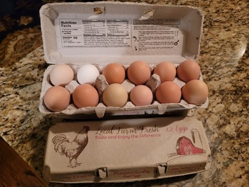 Selling with online payment: Fresh, green, blue, white, brown, unwashed chicken eggs