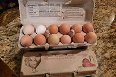 Selling with online payment: Fresh, green, blue, white, brown, unwashed chicken eggs