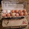 Selling with online payment: Fresh, green, blue, white, brown, unwashed chicken eggs