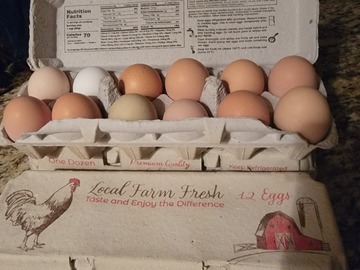 Selling with online payment: Fresh, green, blue, white, brown, unwashed chicken eggs