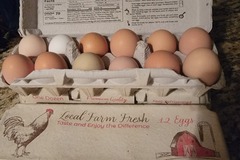 Selling with online payment: Fresh, green, blue, white, brown, unwashed chicken eggs