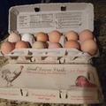 Selling with online payment: Fresh, green, blue, white, brown, unwashed chicken eggs