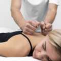 Kurs: Terapia manualna