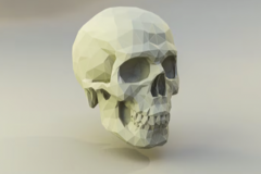 Kurs: Integracja Strukturalna CZASZKI