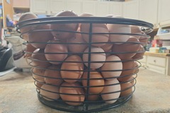 Selling with In-person Payment: Fresh Chicken Eggs