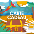 Vente: e-Carte cadeau Fnac-Darty (154€)