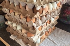 Selling with In-person Payment: Fresh eggs