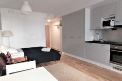 Renting out: furnished studio apartment fr 09. Jan