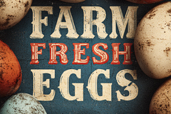 Selling with online payment: Pasture Raised Farm Fresh Eggs