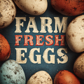 Selling with online payment: Pasture Raised Farm Fresh Eggs