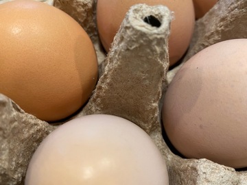 Selling with online payment: Farm Fresh Eggs Maple Valley/Renton