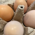 Selling with online payment: Farm Fresh Eggs Maple Valley/Renton