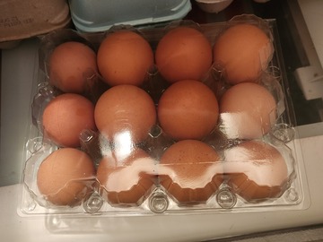 Selling with In-person Payment: Farm chicken/duck eggs 