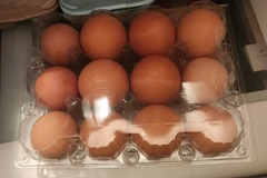 Selling with In-person Payment: Farm chicken/duck eggs 