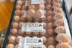 Selling with online payment: Farm Fresh chicken, duck, turkey eggs