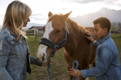 Course: ZOOPSYCHOLOG - SPECJALIZACJA KONIE