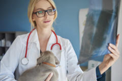 Course: PODSTAWY ONKOLOGII DLA INTERNISTY