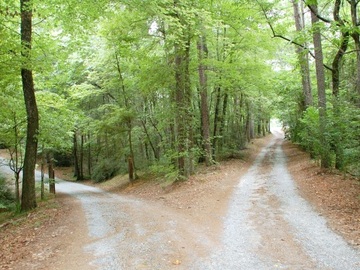 Selling: help me on my path guidance reading