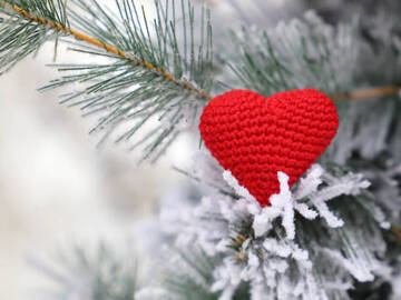 Selling: All I Want For Christmas Is You - LOVE READING