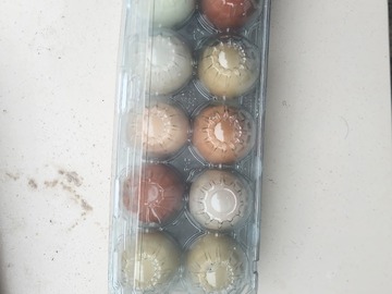 Selling with In-person Payment: Chicken and duck eggs