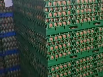 Selling with online payment: Eggs