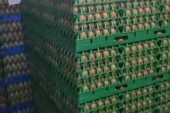 Selling with online payment: Eggs