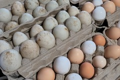 Selling with In-person Payment: Farm fresh eggs