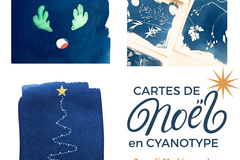 Offre: Noël en bleu : fabriquez vos cartes cyanotype originales