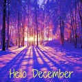 Selling: DECEMBER 2025 MONTHLY PSYCHIC & TAROT READING COMBO!