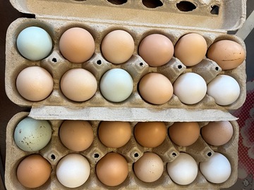 Selling with online payment: Farm fresh eggs(Sulphur Springs, TX)