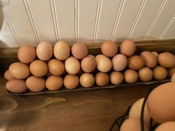 Selling with online payment: Fresh Brown Eggs 