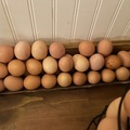 Selling with online payment: Fresh Brown Eggs 