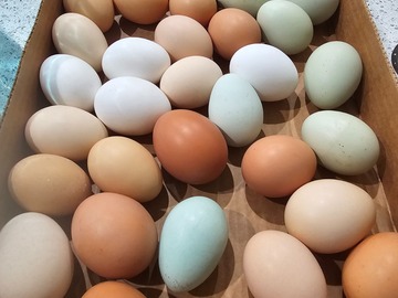 Selling with In-person Payment: Fresh Eggs(different colors)
