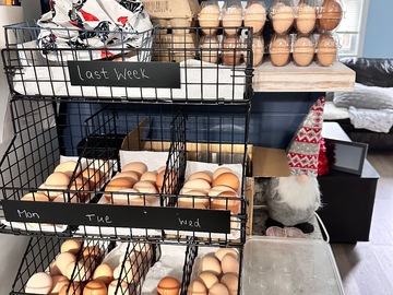 Selling with online payment: Fresh eggs 